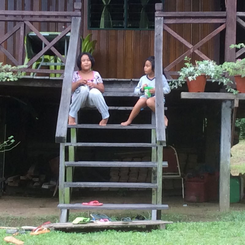 Malaisie - Rivière Kinabatanga