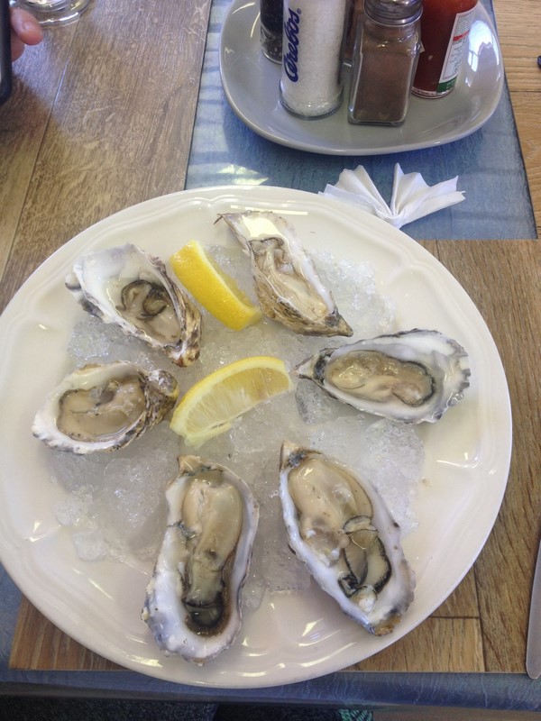 Luderitz Oysters