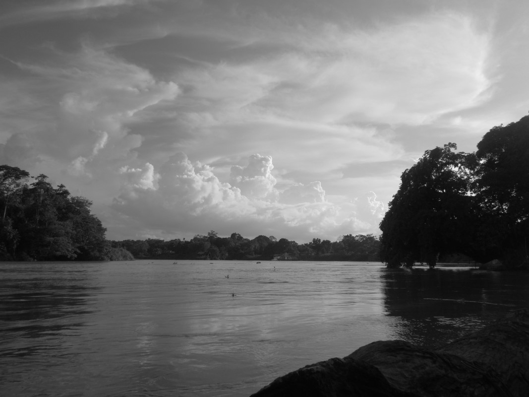 Malaysia - River Kinabatanga