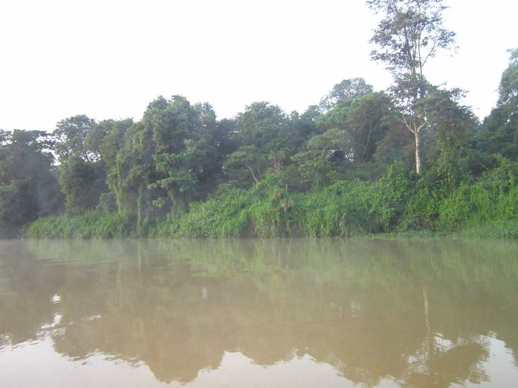 Malaysia - River Kinabatanga