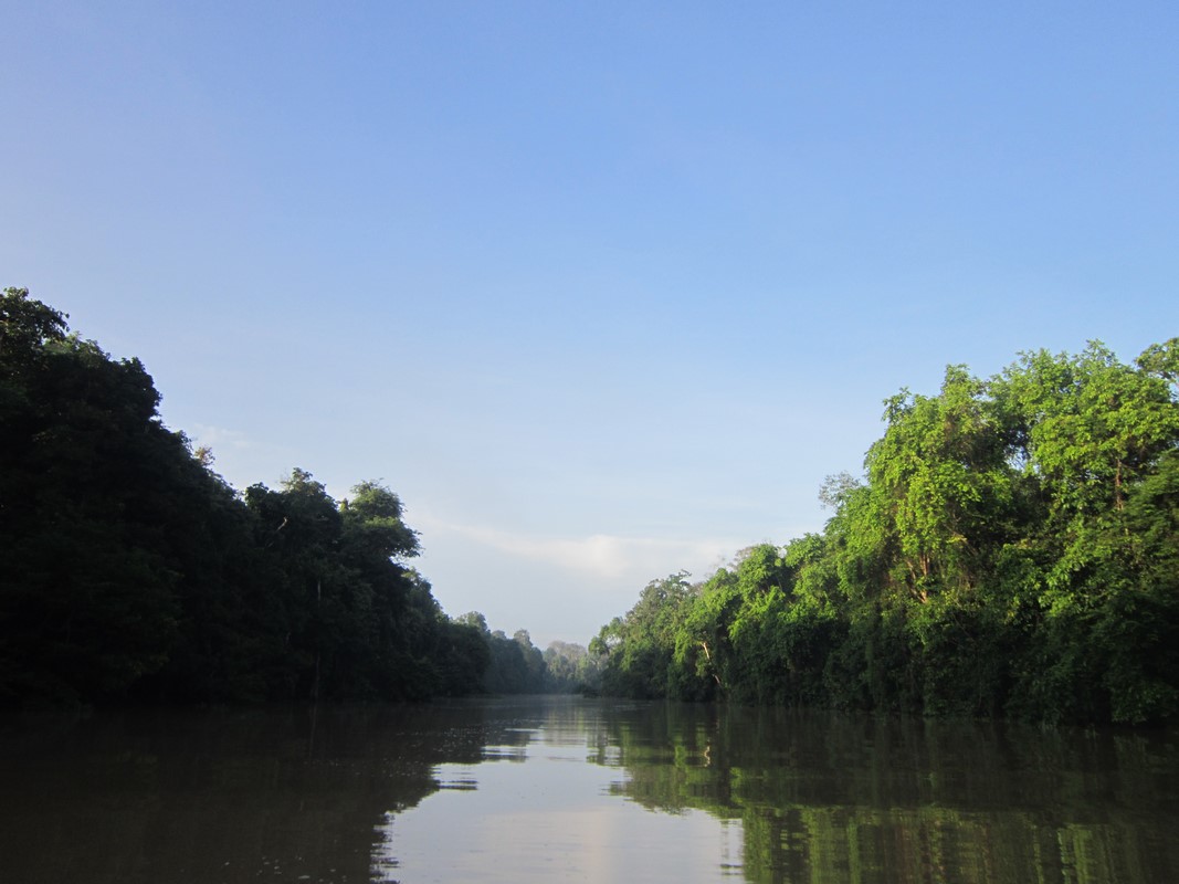 Malaysia - River Kinabatanga