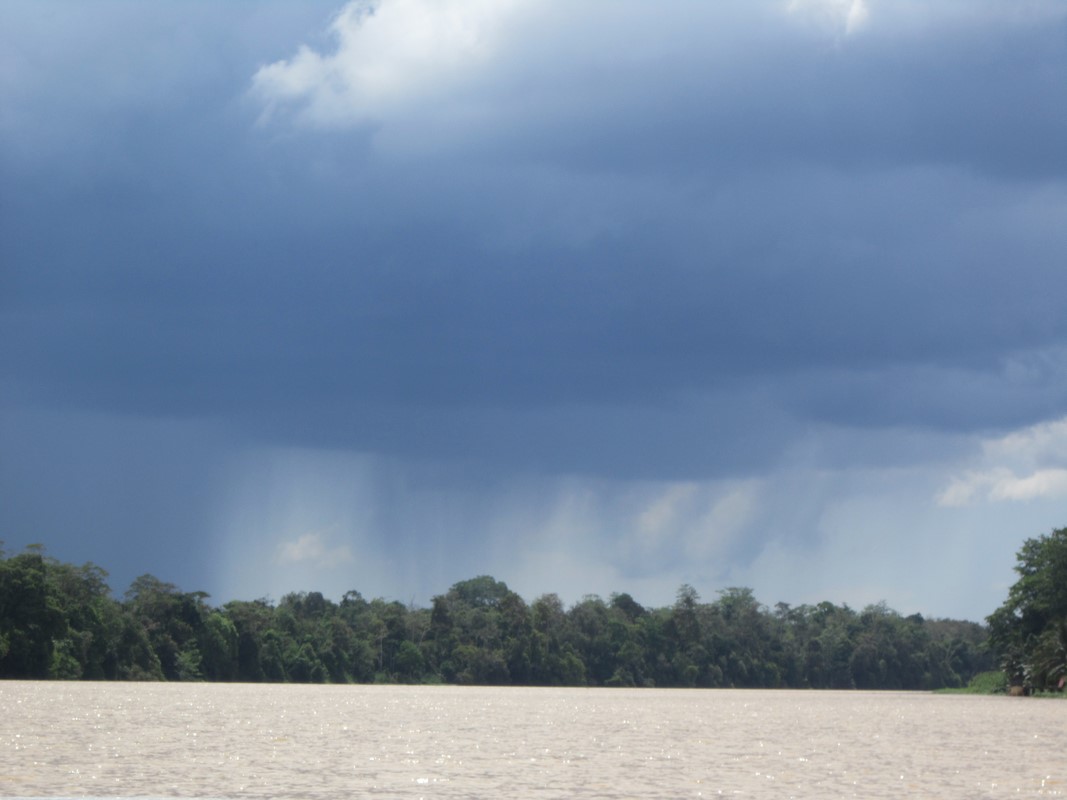 Malaysia - River Kinabatanga