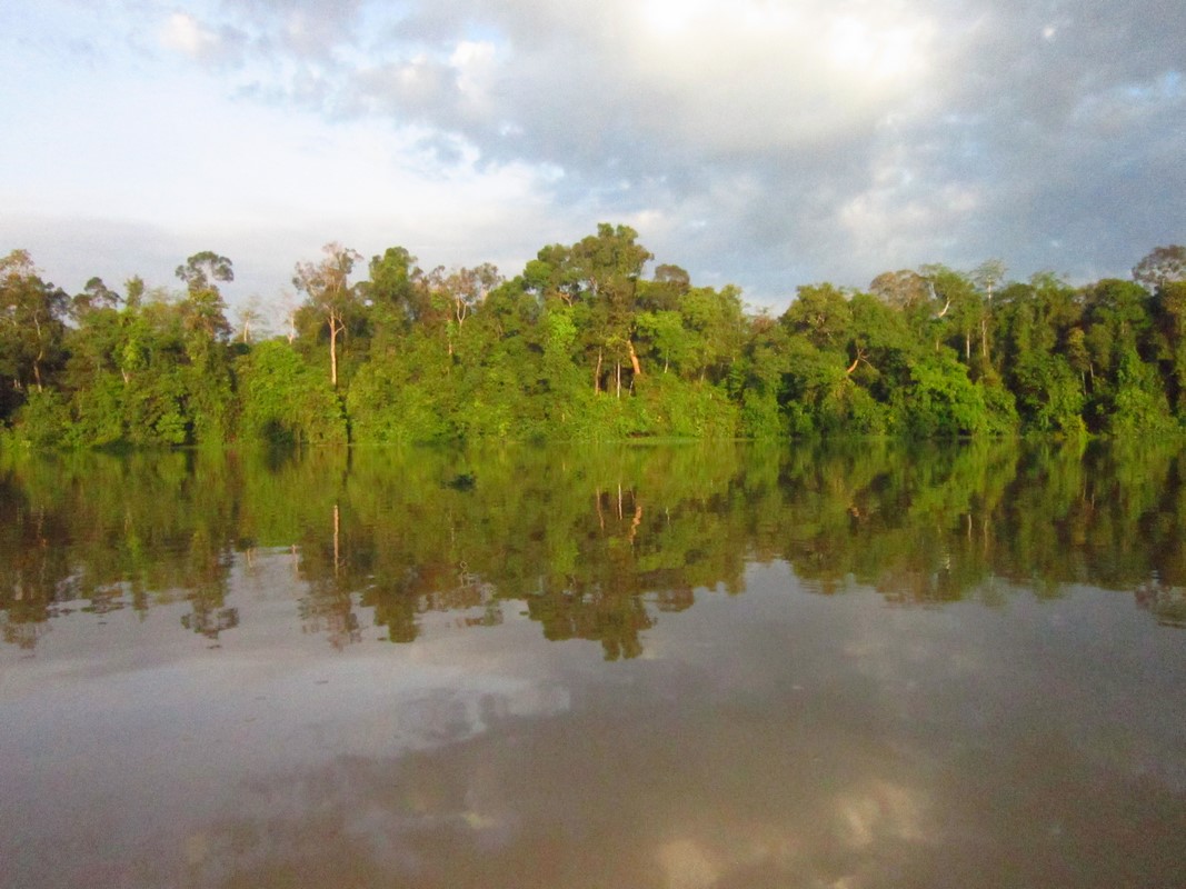 Malaisie - Rivière Kinabatanga