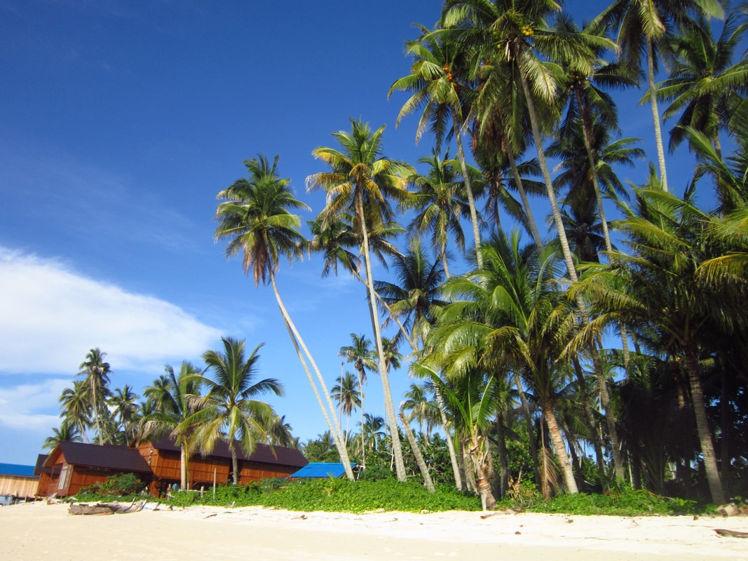 Indonesia - Ile de Derawan 