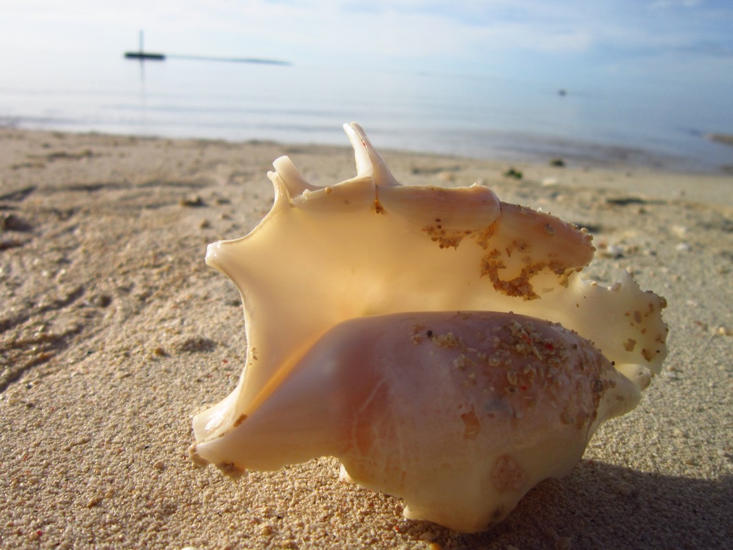 Indonesia - Derawan Island