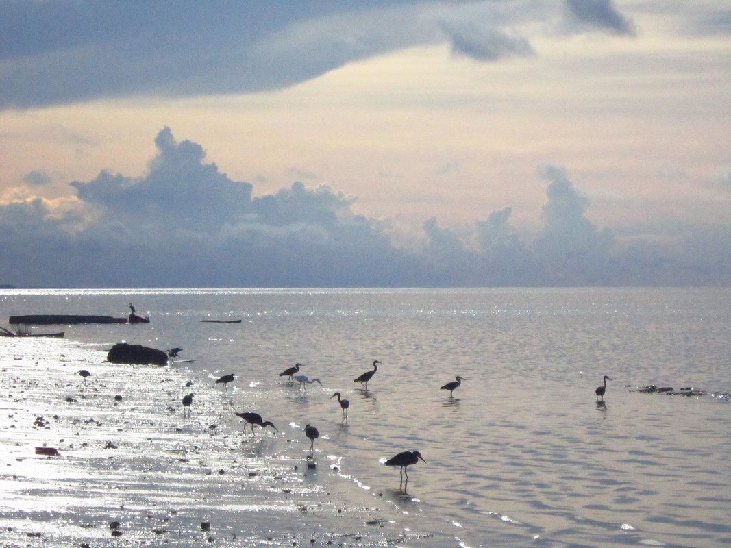 Indonesia - Derawan Island