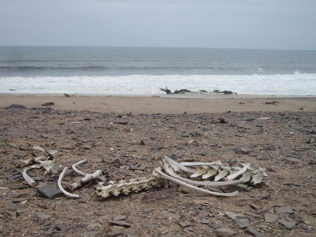 Skeleton Coast