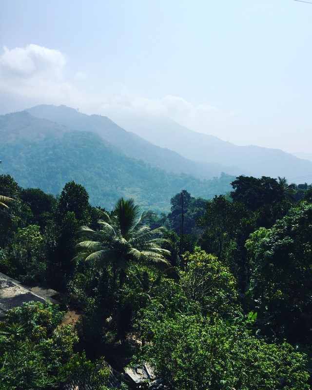 India - Munnar