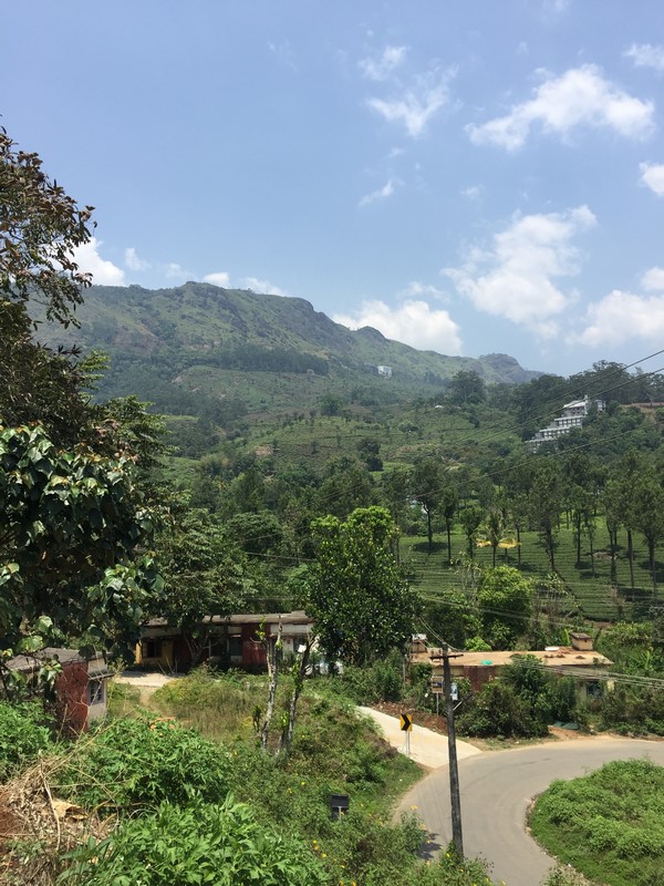 India - Munnar