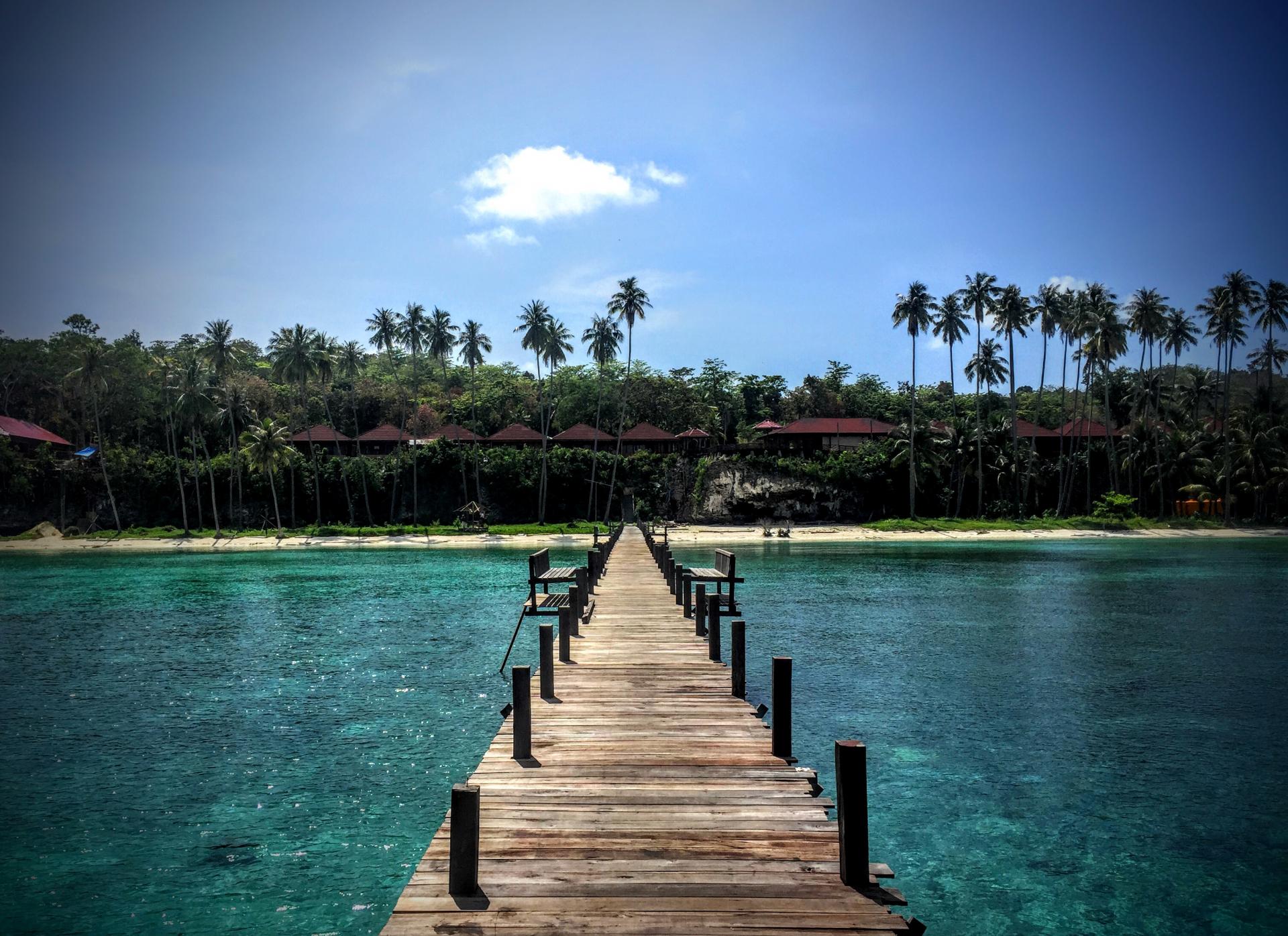 Maratua Island, Derawan Archipelago, East Kalimantan. 12to14months